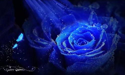 蓝色妖姬在线观看,网络奇缘,揭秘虚拟世界的爱情传奇 第2张 蓝色妖姬在线观看,网络奇缘,揭秘虚拟世界的爱情传奇 第2张